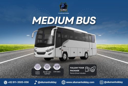 Medium Bus 30-35 Seat